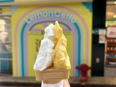 -柠檬车露(卖草地店)