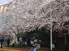 -上海交通大学闵行校区-包玉刚图书馆