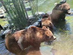 -北京野生动物园