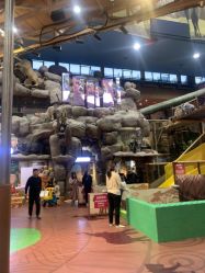 -卡通尼·Safari非洲探索乐园·生日会(金桥国际商业广场店)