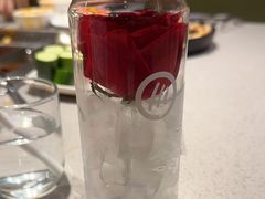-海底捞火锅(吾悦广场店)