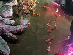 -泉城欧乐堡海洋极地世界