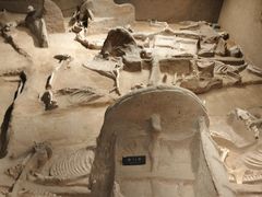 -洛阳周王城天子驾六博物馆