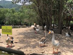 -西安秦岭野生动物园