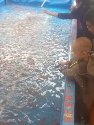 -萌宠亲子动物乐园(槐房万达店)