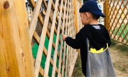 -萌宠亲子动物乐园(槐房万达店)