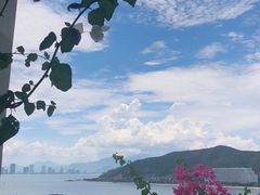 -芽庄珍珠岛游乐园