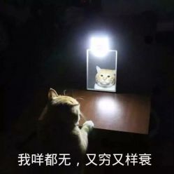 -明洞造型精品烫染