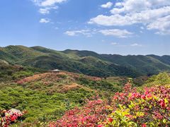 -大围山国家森林公园