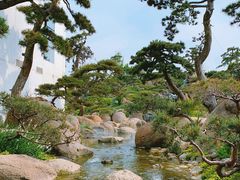 -罗红摄影艺术馆