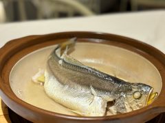 -香蜜轩·粤菜·宴会(世界之窗店)