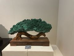 -安徽省地质博物馆