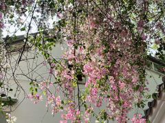 -深圳国际园林花卉博览园