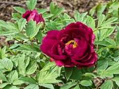 -江南大学(蠡湖校区)