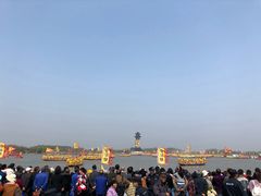 -溱湖国家湿地公园