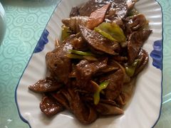 -鸭味飞飞