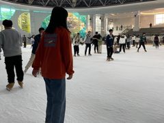-世界之窗阿尔卑斯冰雪世界