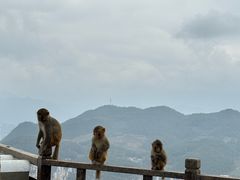 -重庆云阳龙缸景区