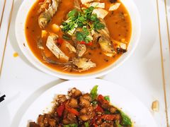 -煲来饱去冷水鱼