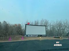 -枫花园汽车电影院(朝阳公园店)