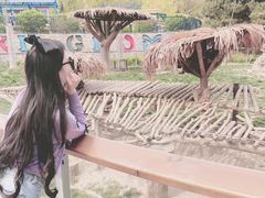 -辛玛王国游乐园