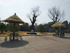 -太阳部落