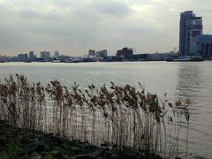 -上海山野camping·户外天幕烧烤·团建拓展营地
