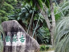 -深圳仙湖植物园