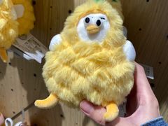 -凤凰汇购物中心