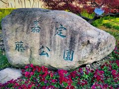 -嘉定紫藤园