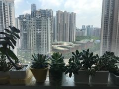 -广州保龄球馆(广州天河体育中心店)