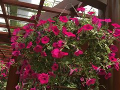 -南通洲际绿博园