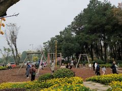 -铁山坪森林公园