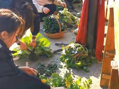 -樂桃源奉贤黄桃种植采摘基地