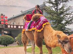 -华夏文旅西安度假区