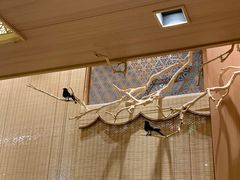 -越光米贩精致料理餐厅(金鹰店)