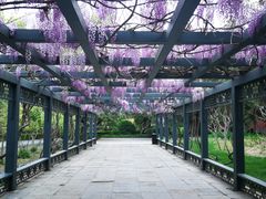 -北京市劳动人民文化宫(太庙)