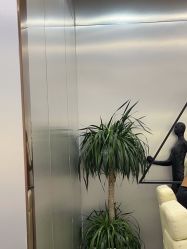 -Tloml salon