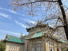 -武汉大学-樱园