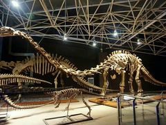 -世界恐龙谷景区