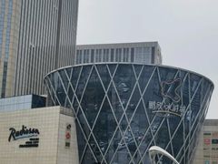 -鹏欣水游城