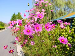 -雪山彩虹谷景区