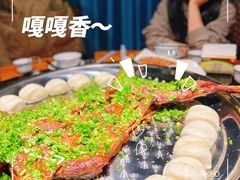 -洪湖家庭农场·团建·露营·会议