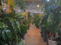 -双季花艺园艺市场(浦东店)