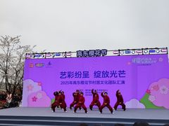 -高东镇樱花园