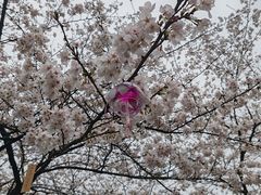 -堤角公园