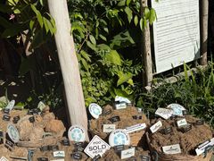 -大象粑粑造纸公园