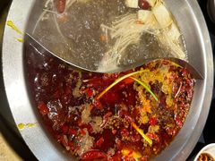 菌汤鸳鸯锅-沸炉重庆老火锅(军事博物馆店)