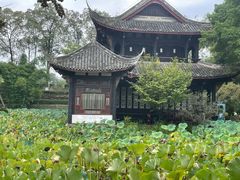 -桂湖森林公园