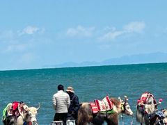 -青海湖国家重点风景名胜区
